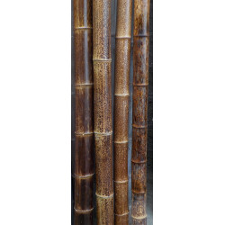 Canna di bambù trattate con il fuoco, color noce, marezzata, ø 7-8 cm - L. 200 cm